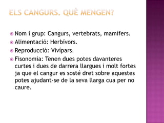  Nom  i grup: Cangurs, vertebrats, mamífers.
 Alimentació: Herbívors.
 Reproducció: Vivípars.
 Fisonomia: Tenen dues potes davanteres
  curtes i dues de darrera llargues i molt fortes
  ja que el cangur es sosté dret sobre aquestes
  potes ajudant-se de la seva llarga cua per no
  caure.
 