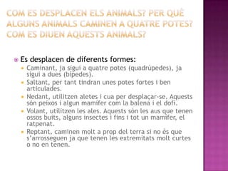    Es desplacen de diferents formes:
       Caminant, ja sigui a quatre potes (quadrúpedes), ja
        sigui a dues (bípedes).
       Saltant, per tant tindran unes potes fortes i ben
        articulades.
       Nedant, utilitzen aletes i cua per desplaçar-se. Aquests
        són peixos i algun mamífer com la balena i el dofí.
       Volant, utilitzen les ales. Aquests són les aus que tenen
        ossos buits, alguns insectes i fins i tot un mamífer, el
        ratpenat.
       Reptant, caminen molt a prop del terra si no és que
        s’arrosseguen ja que tenen les extremitats molt curtes
        o no en tenen.
 