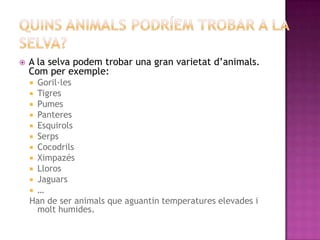    A la selva podem trobar una gran varietat d’animals.
    Com per exemple:
     Goril·les
     Tigres
     Pumes
     Panteres
     Esquirols
     Serps
     Cocodrils
     Ximpazés
     Lloros
     Jaguars
     …
    Han de ser animals que aguantin temperatures elevades i
      molt humides.
 