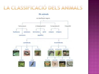 Presentació del animals