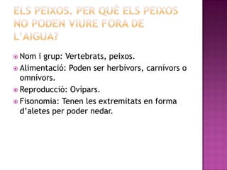  Nom  i grup: Vertebrats, peixos.
 Alimentació: Poden ser herbívors, carnívors o
  omnívors.
 Reproducció: Ovípars.
 Fisonomia: Tenen les extremitats en forma
  d’aletes per poder nedar.
 