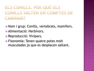  Nom  i grup: Conills, vertebrats, mamífers.
 Alimentació: Herbívors.
 Reproducció: Vivípars.
 Fisonomia: Tenen quatre potes molt
  musculades ja que es desplacen saltant.
 
