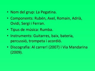 Nom del grup: La Pegatina. Components: Rubén, Axel, Romain, Adrià, Ovidi, Sergi i Ferran. Tipus de música: Rumba. Instruments: Guitarres, baix, bateria, percussió, trompeta i acordió. Discografia: Al carrer! (2007) i Via Mandarina (2009). 