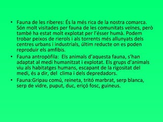 Fauna de les riberes: És la més rica de la nostra comarca. Són molt visitades per fauna de les comunitats veïnes, però també ha estat molt explotat per l’ésser humà. Podem trobar peixos de rierols i als torrents més allunyats dels centres urbans i industrials, últim reducte on es poden reproduir els amfibis.  Fauna antropòfila:  Els animals d’aquesta fauna, s’han adaptat al medi humanitzat i explotat. Els grups d’animals viu als habitatges humans, escapant de la rigositat del medi, és a dir, del  clima i dels depredadors. Fauna:Gripau comú, reineta, tritó marbrat, serp blanca, serp de vidre, puput, duc, eriçó fosc, guineus. 