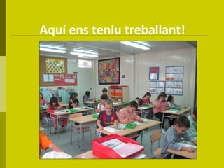 Aquí ens teniu treballant! 