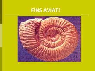 FINS AVIAT! 