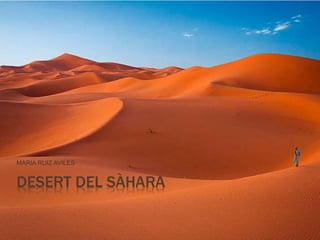 DESERT DEL SÀHARA
MARIA RUIZ AVILES
 