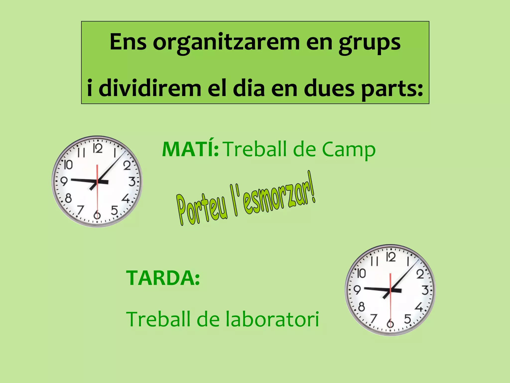 Ens organitzarem en grups
i dividirem el dia en dues parts:
TARDA:
Treball de laboratori
MATÍ:Treball de Camp
 