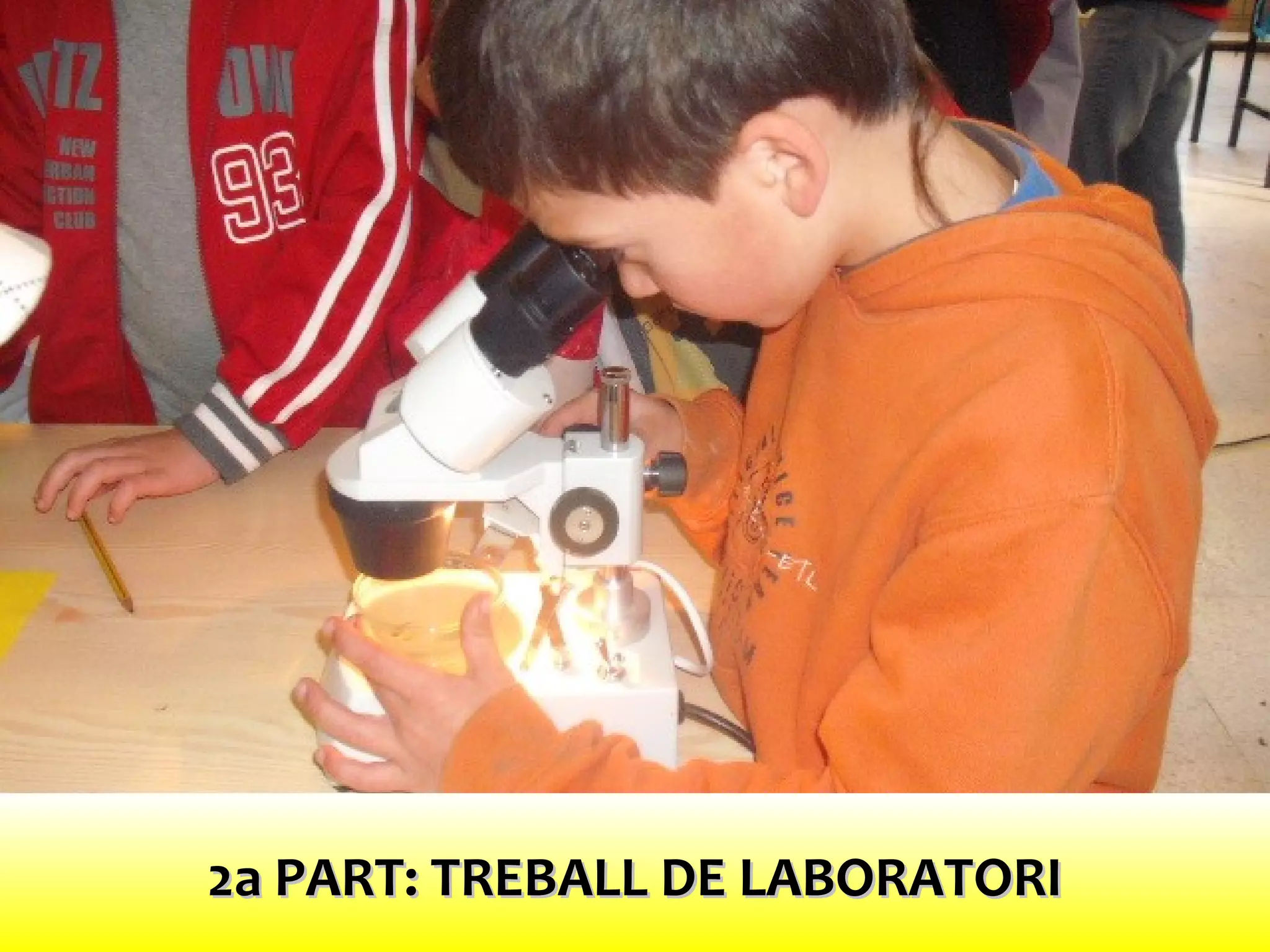 2a PART: TREBALL DE LABORATORI2a PART: TREBALL DE LABORATORI
 