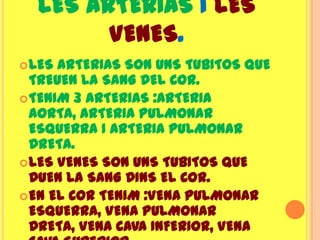 LES ARTERIAS I LES
        VENES.
 LES ARTERIAS SON UNS TUBITOS QUE
  TREUEN LA SANG DEL COR.
 TENIM 3 ARTERIAS :ARTERIA
  AORTA, ARTERIA PULMONAR
  ESQUERRA I ARTERIA PULMONAR
  DRETA.
 LES VENES SON UNS TUBITOS QUE
  DUEN LA SANG DINS EL COR.
 EN EL COR TENIM :VENA PULMONAR
  ESQUERRA, VENA PULMONAR
  DRETA, VENA CAVA INFERIOR, VENA
 