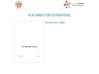 PLA DIRECTOR ESTRATÈGIC Pla Director 2000 