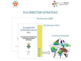PLA DIRECTOR ESTRATÈGIC Pla Director 2000 Pla Director 2011 5 Línies d’actuació 