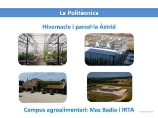 La Politècnica
Hivernacle i parcel·la Àstrid
Campus agroalimentari: Mas Badia i IRTA Crèdit: Roger Lleixà
 