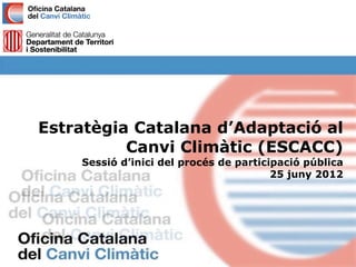 Estratègia Catalana d’Adaptació al
          Canvi Climàtic (ESCACC)
    Sessió d’inici del procés de participació pública
                                        25 juny 2012
 
