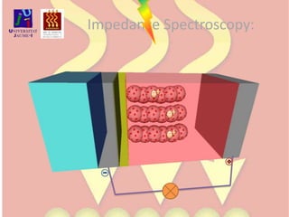 Impedance Spectroscopy: