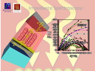 Impedance Spectroscopy:RsRcoRctRtRPtCcoCµZdRblCPtCbl