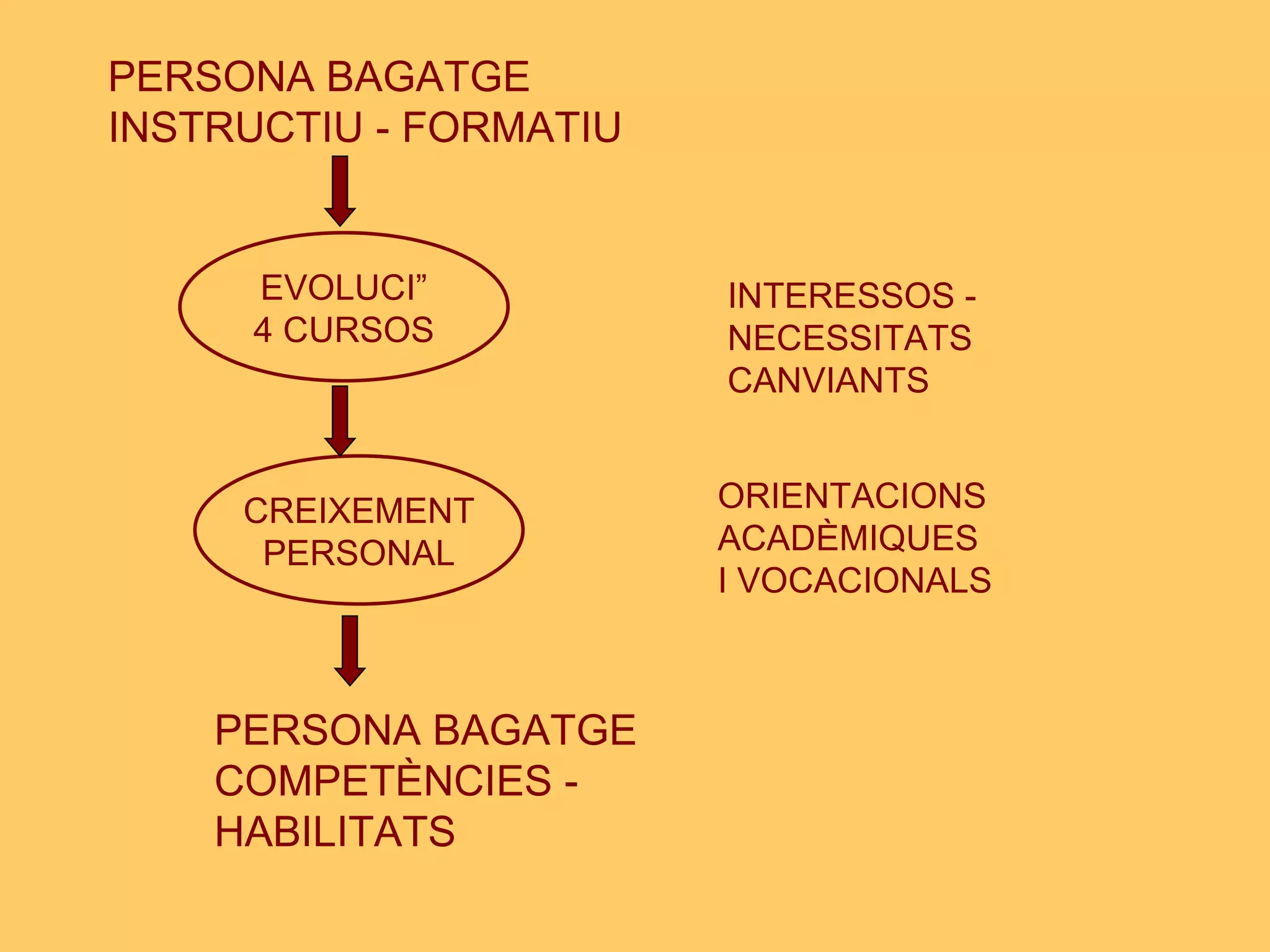 PERSONA BAGATGE INSTRUCTIU - FORMATIU INTERESSOS -  NECESSITATS CANVIANTS EVOLUCIÓ 4 CURSOS ORIENTACIONS ACADÈMIQUES I VOCACIONALS PERSONA BAGATGE COMPETÈNCIES - HABILITATS CREIXEMENT PERSONAL 
