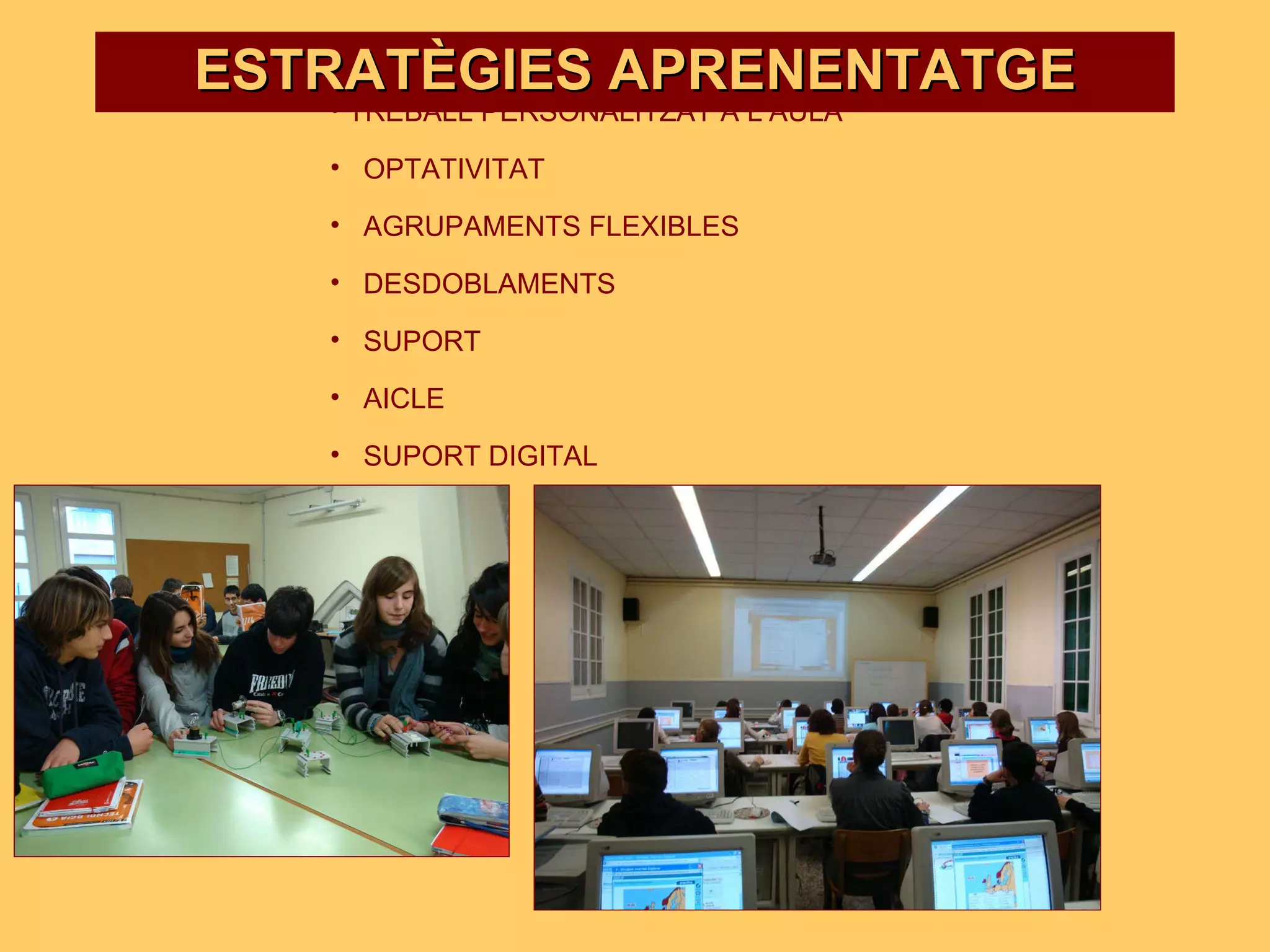 ESTRATÈGIES APRENENTATGE TREBALL PERSONALITZAT A L’AULA OPTATIVITAT AGRUPAMENTS FLEXIBLES DESDOBLAMENTS SUPORT AICLE SUPORT DIGITAL 