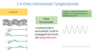 1.4 Ones transversals i longitudonals
Transversals. Si agitem la corda constantment es
produeix una ona continua que es
propaga per la corda:
La direcció de la
perturbació i la de la
propagació de la ona
són perpendiculars.
Ones
Transvensals:
 