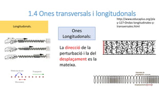 1.4 Ones transversals i longitudonals
Ones
Longitudonals:
La direcció de la
perturbació i la del
desplaçament es la
mateixa.
Longitudonals.
http://www.educaplus.org/pla
y-127-Ondas-longitudinales-y-
transversales.html
 