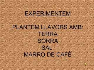 EXPERIMENTEM PLANTEM LLAVORS AMB: TERRA SORRA SAL  MARRO DE CAFÈ 