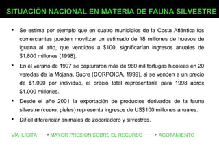 SITUACIÓN NACIONAL EN MATERIA DE FAUNA SILVESTRE

    Se estima por ejemplo que en cuatro municipios de la Costa Atlántica los
     comerciantes pueden movilizar un estimado de 18 millones de huevos de
     iguana al año, que vendidos a $100, significarían ingresos anuales de
     $1.800 millones (1998).
    En el verano de 1997 se capturaron más de 960 mil tortugas hicoteas en 20
     veredas de la Mojana, Sucre (CORPOICA, 1999), si se venden a un precio
     de $1.000 por individuo, el precio total representaría para 1998 aprox
     $1.000 millones.
    Desde el año 2001 la exportación de productos derivados de la fauna
     silvestre (cuero, pieles) representa ingresos de US$100 millones anuales.
    Difícil diferenciar animales de zoocriadero y silvestres.

 VÍA ILÍCITA      MAYOR PRESIÓN SOBRE EL RECURSO                 AGOTAMIENTO
 