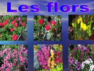 Les flors 