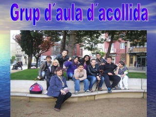 Grup d´aula d´acollida 