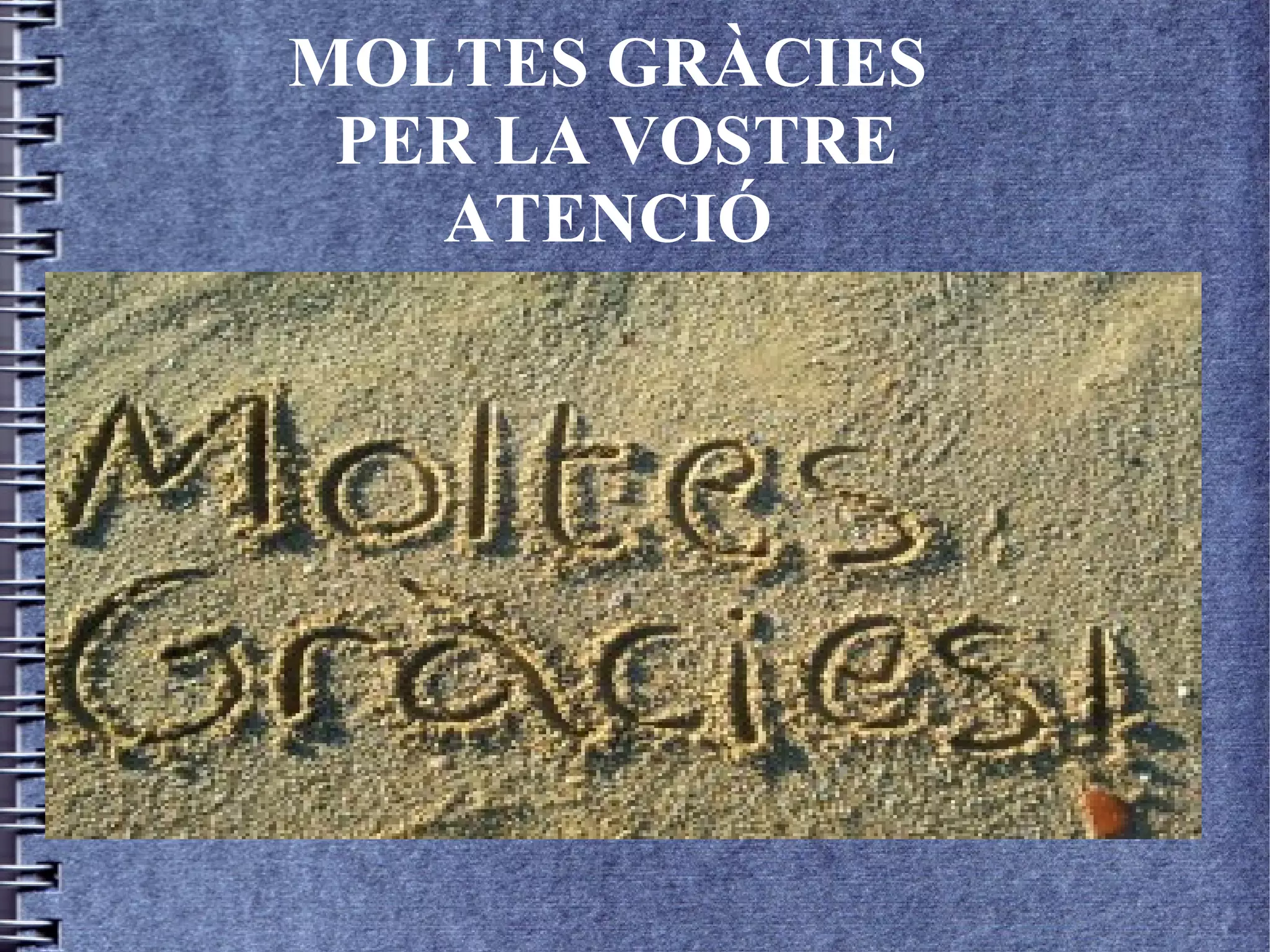 MOLTES GRÀCIES
PER LA VOSTRE
ATENCIÓ
 