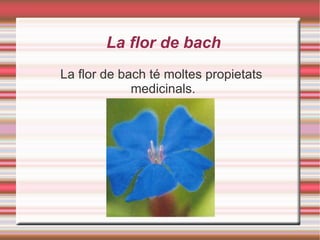 La flor de bach La flor de bach té moltes propietats  medicinals. 