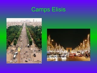 Camps Elisis
 