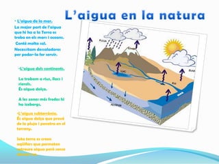 •L’aigua dels continents.
La trobam a rius, llacs i
rierols.
És aigua dolça.
A les zones més fredes hi
ha icebergs.
•L’aigua subterrània.
És aigua dolça que prové
de la pluja i penetra en el
terreny.
Sota terra es creen
aqüífers que permeten
extreure aigua però sense
abusar-ne.
• L’aigua de la mar.
La major part de l’aigua
que hi ha a la Terra es
troba en els mars i oceans.
Conté molta sal.
Necessitam dessaladores
per poder-la fer servir.
 