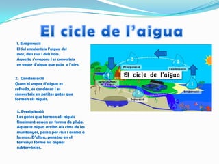 1. Evaporació
El Sol encalenteix l’aigua del
mar, dels rius i dels llacs.
Aquesta s’evapora i es converteix
en vapor d’aigua que puja a l’aire.
2. Condensació
Quan el vapor d’aigua es
refreda, es condensa i es
converteix en petites gotes que
formen els niguls.
3. Precipitació
Les gotes que formen els niguls
finalment cauen en forma de pluja.
Aquesta aigua arriba als cims de les
muntanyes, passa per rius i acaba a
la mar. D’altra, penetra en el
terreny i forma les aigües
subterrànies.
 