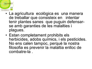La agricultura  ecològica es  una manera  de treballar que consisteix en  intentar tenir plantes sanes  que puguin defensar-se amb garanties de les malalties i plagues. Estan completament prohibits els herbicides, adobs químics, i els pesticides. No ens calen tampoc, perquè la nostra filosofia es prevenir la malaltia enlloc de combatre-la . 