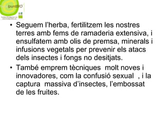 Seguem l’herba, fertilitzem les nostres terres amb fems de ramaderia extensiva, i ensulfatem amb olis de premsa, minerals i infusions vegetals per prevenir els atacs dels insectes i fongs no desitjats. També emprem tècniques  molt noves i innovadores, com la confusió sexual  , i la captura  massiva d’insectes, l’embossat de les fruites. 