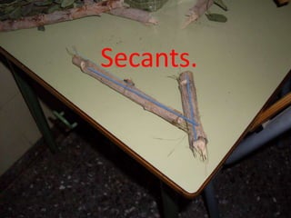 Secants.

 