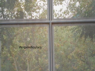 Perpendiculars

 