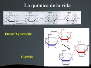 Laquímicadelavida




EnllaçO­glucosídic




           Hidròlisi


                      
 