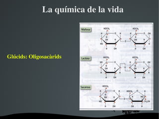 Laquímicadelavida




ұú:Oligosacàrids




                         
 