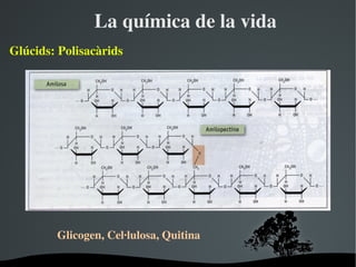 Laquímicadelavida
ұú:Polisacàrids




         Glicogen,Cel∙lulosa,Quitina

                         
 