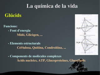 Laquímicadelavida
ұú

Funcions:
  ­Fontd'energia
         Midó,Glicògen,...

   ­Elementsestructurals
         Cel∙lulosa,Quitina,Condroïtina,...

   ­Componentsdemolèculescomplexes
        Àcidsnucleics,ATP,Glucoproteïnes,Glucoí辱



                         
 