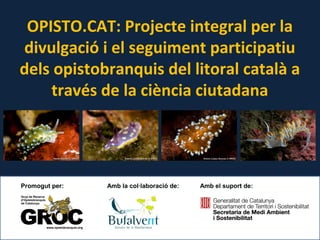 OPISTO.CAT: Projecte integral per la
divulgació i el seguiment participatiu
dels opistobranquis del litoral català a
través de la ciència ciutadana
Promogut per: Amb la col·laboració de: Amb el suport de:
 