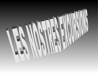 Visual i Plàstica Heràldica Què hem fet? - Hem buscat diferents conceptes sobre  l’heràldica. - Hem dibuixat el nostre escut a la  portada del treball.  