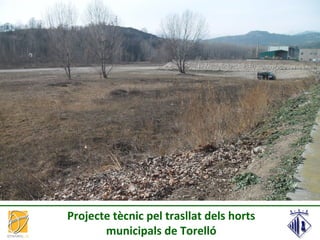 Projecte tècnic pel trasllat dels horts
municipals de Torelló
 