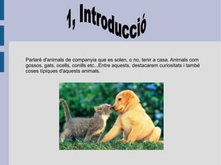 Parlaré d'animals de companyia que es solen, o no, tenir a casa. Animals com gossos, gats, ocells, conills etc...Entre aquests, destacarem curiositats i també coses típiques d'aquests animals. 1, Introducció 