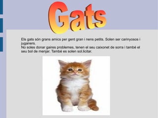 Els gats són grans amics per gent gran i nens petits. Solen ser carinyosos i juganers. No soles donar gaires problemes, tenen el seu caixonet de sorra i també el seu bol de menjar. També es solen sol.licitar. Gats 