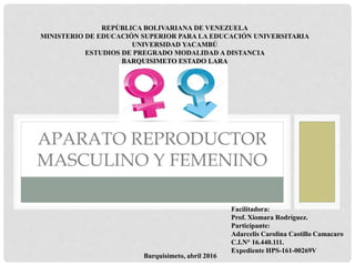 APARATO REPRODUCTOR
MASCULINO Y FEMENINO
REPÚBLICA BOLIVARIANA DE VENEZUELA
MINISTERIO DE EDUCACIÓN SUPERIOR PARA LA EDUCACIÓN UNIVERSITARIA
UNIVERSIDAD YACAMBÚ
ESTUDIOS DE PREGRADO MODALIDAD A DISTANCIA
BARQUISIMETO ESTADO LARA
Facilitadora:
Prof. Xiomara Rodríguez.
Participante:
Adarcelis Carolina Castillo Camacaro
C.I.N° 16.440.111.
Expediente HPS-161-00269V
Barquisimeto, abril 2016
 