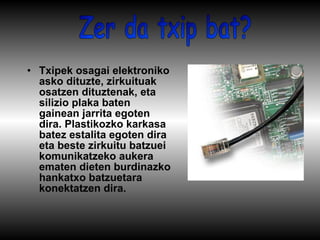 Txipek osagai elektroniko asko dituzte, zirkuituak osatzen dituztenak, eta silizio plaka baten gainean jarrita egoten dira. Plastikozko karkasa batez estalita egoten dira eta beste zirkuitu batzuei komunikatzeko aukera ematen dieten burdinazko hankatxo batzuetara konektatzen dira. Zer da txip bat? 