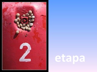 etapa 