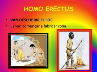 HOMO ERECTUS
• VAN DESCOBRIR EL FOC
• Es van començar a fabricar roba.
 